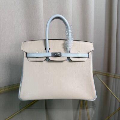 Birkin 25 Retourne Style Nata and Bleu Brume Chèvre Mysore with Brushed Palladium Hardware
