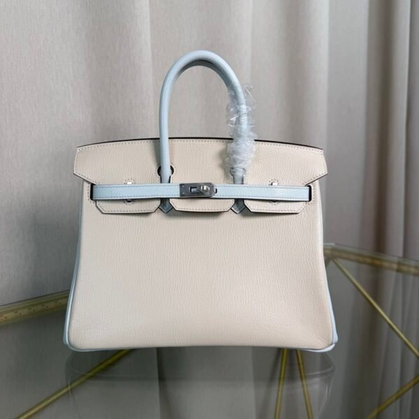Birkin 25 Retourne Style Nata and Bleu Brume Chèvre Mysore with Brushed Palladium Hardware