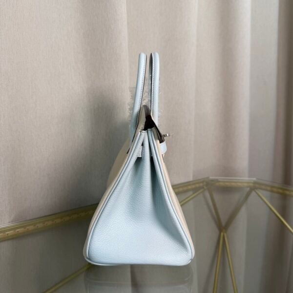 Birkin 25 Retourne Style Nata and Bleu Brume Chèvre Mysore with Brushed Palladium Hardware