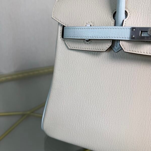 Birkin 25 Retourne Style Nata and Bleu Brume Chèvre Mysore with Brushed Palladium Hardware