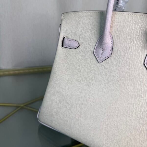 Birkin 25 Retourne Style Nata and Mauve Pale Chèvre Mysore with Brushed Palladium Hardware
