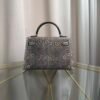 Mini Kelly II Sellier 20 Style Natural Ombre Lizard Palladium Hardware handbag