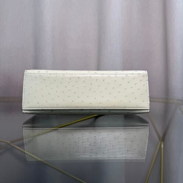 微信图片_20260815180326_1461_27 Kelly Pochette Style Nata Ostrich Palladium Hardware