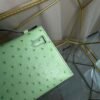 Kelly Pochette Style Vert Criquet Ostrich Palladium Hardware