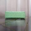 Kelly Pochette Style Vert Criquet Ostrich Palladium Hardware