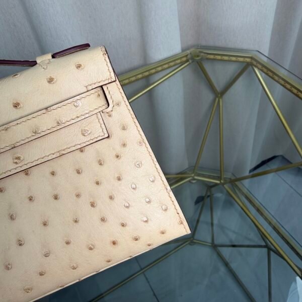 Kelly Pochette Style Parchemin Ostrich Gold Hardware Kelly Pochette Style Parchemin Ostrich Gold Hardware