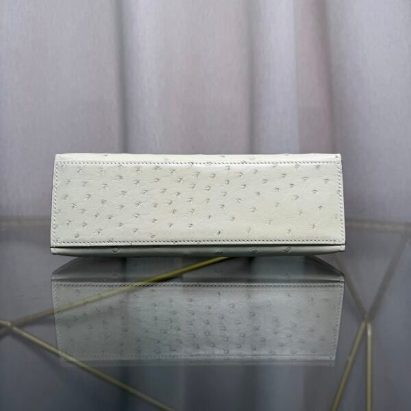 Kelly Pochette Style Nata Ostrich Palladium Hardware