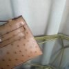 Kelly Pochette Style Chai Ostrich Gold Hardware Kelly Pochette Style Chai Ostrich Gold Hardware