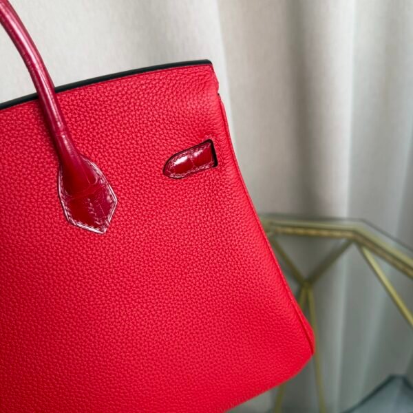 Birkin Retourne 25 Style Rouge Casaque Togo and Shiny Niloticus Crocodile Touch Gold Hardware