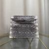 Kelly Danse Style Ombre Shiny Varanus Salvator Lizard Palladium Hardware